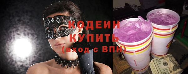 мдпв Новозыбков