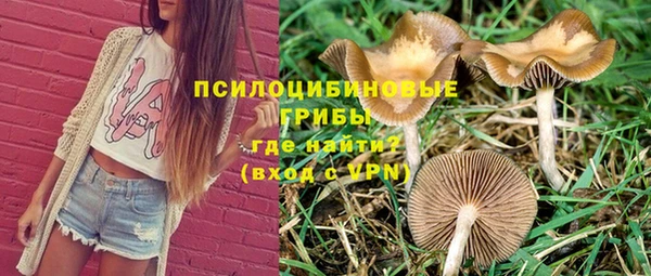 круглые Новодвинск