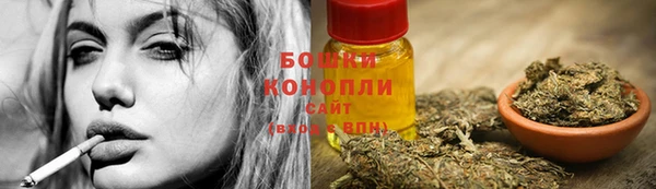мдпв Новозыбков