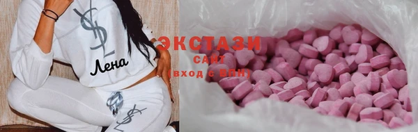 мдпв Новозыбков