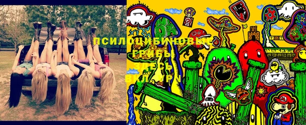 круглые Новодвинск