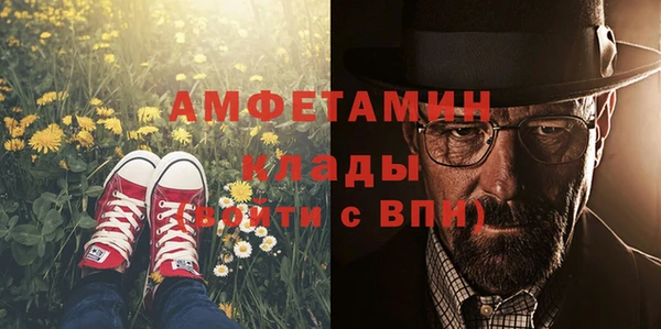 мдпв Новозыбков