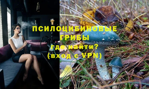 круглые Новодвинск