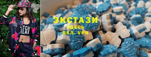 мдпв Новозыбков