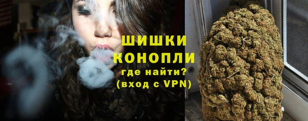 мдпв Новозыбков