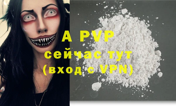 мдпв Новозыбков