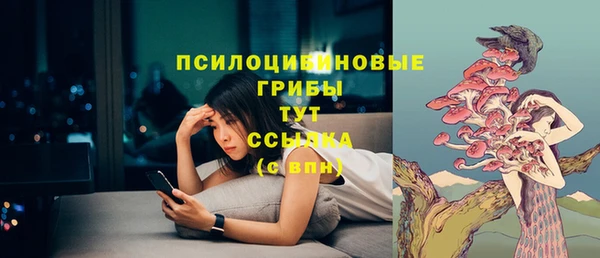 круглые Новодвинск